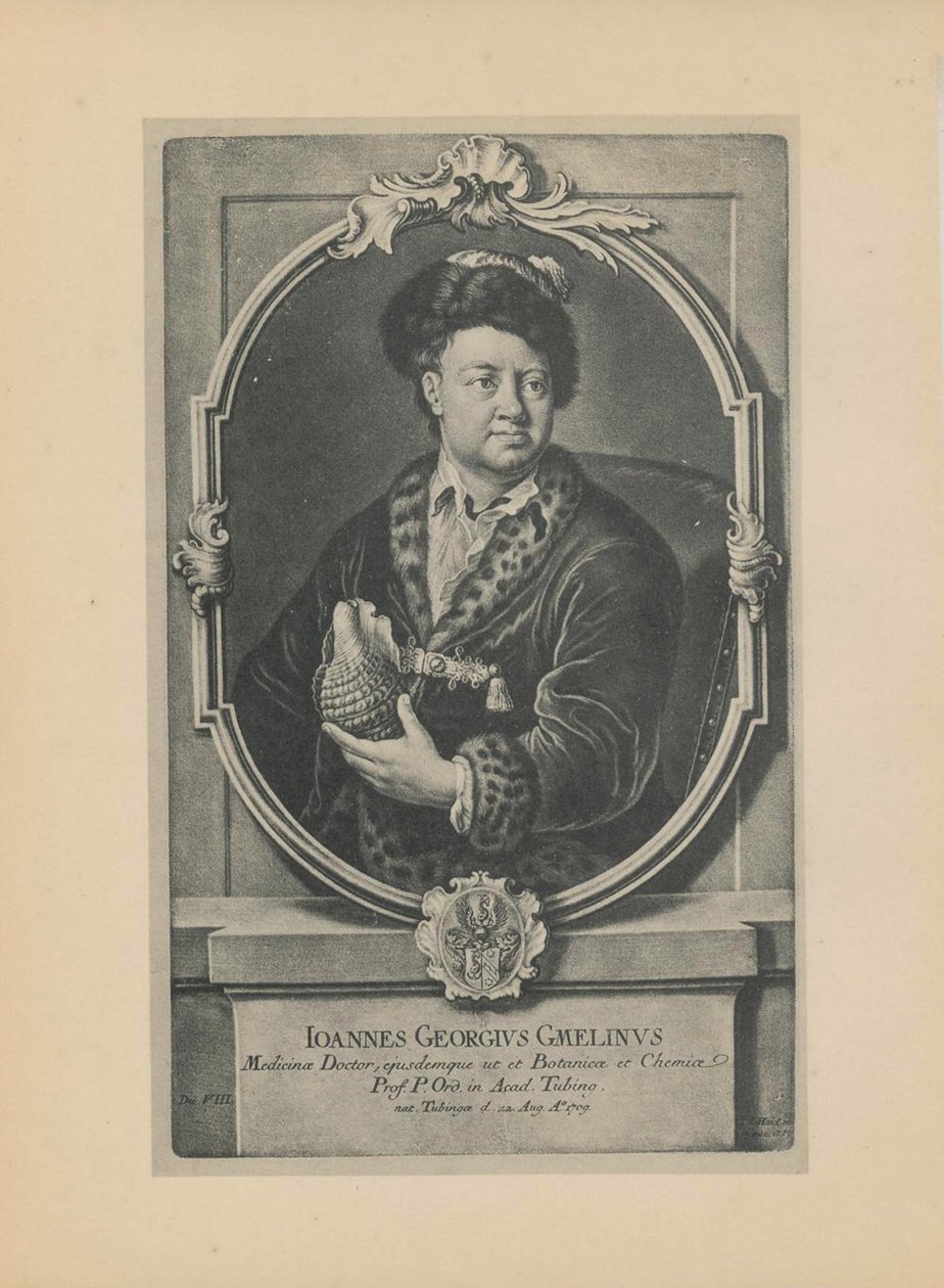 Portrét přírodovědce, botanika a geografa Johanna Georga Gmelina 1709-1755, polovina 18. stol. od Haid