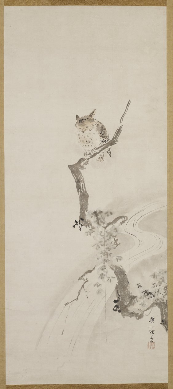 Jedna sova posazená na stromě, c. 1710 od Hanabusa Itcho