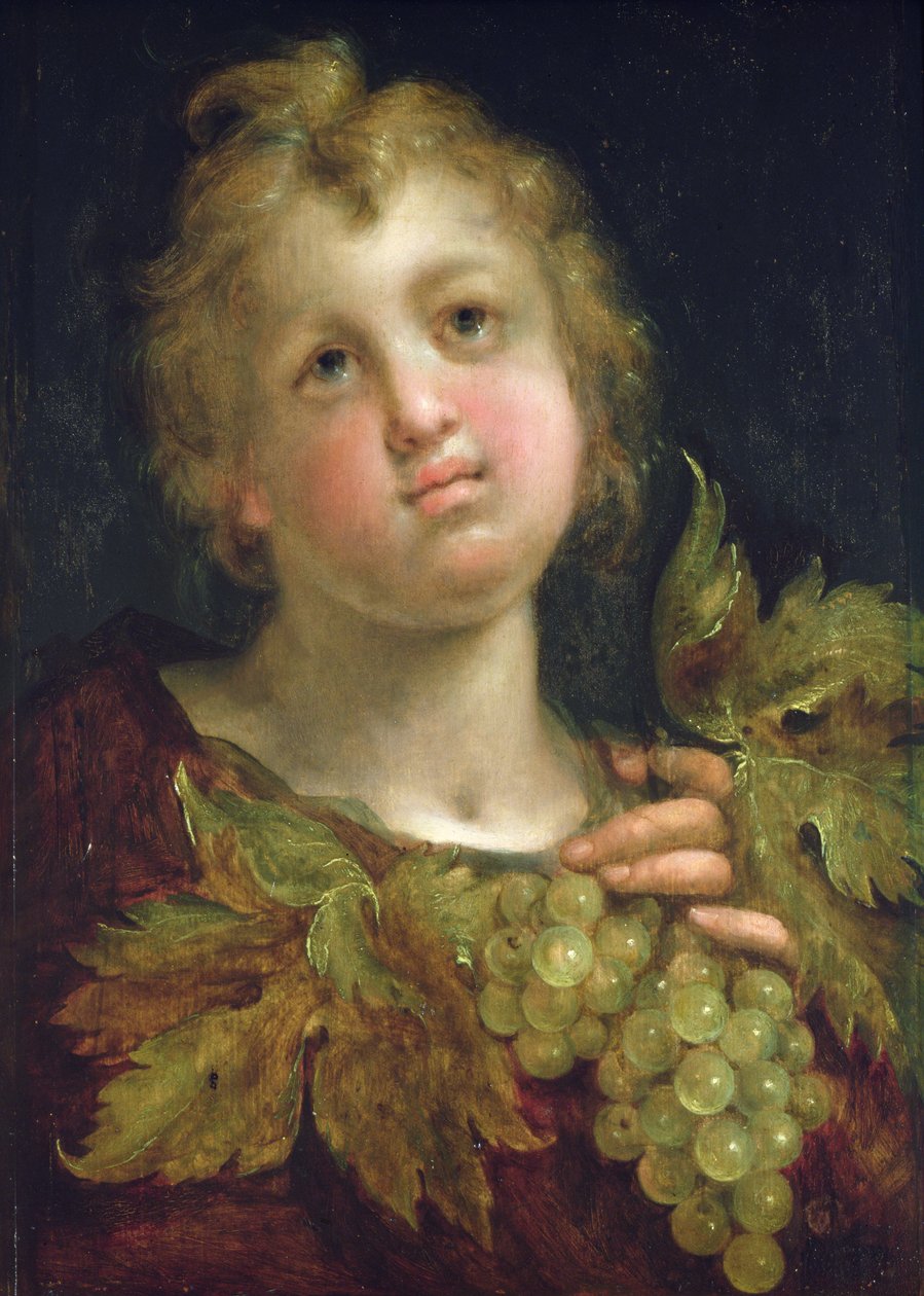 Chlapec s hroznem, 1600-5 od Hans von Aachen
