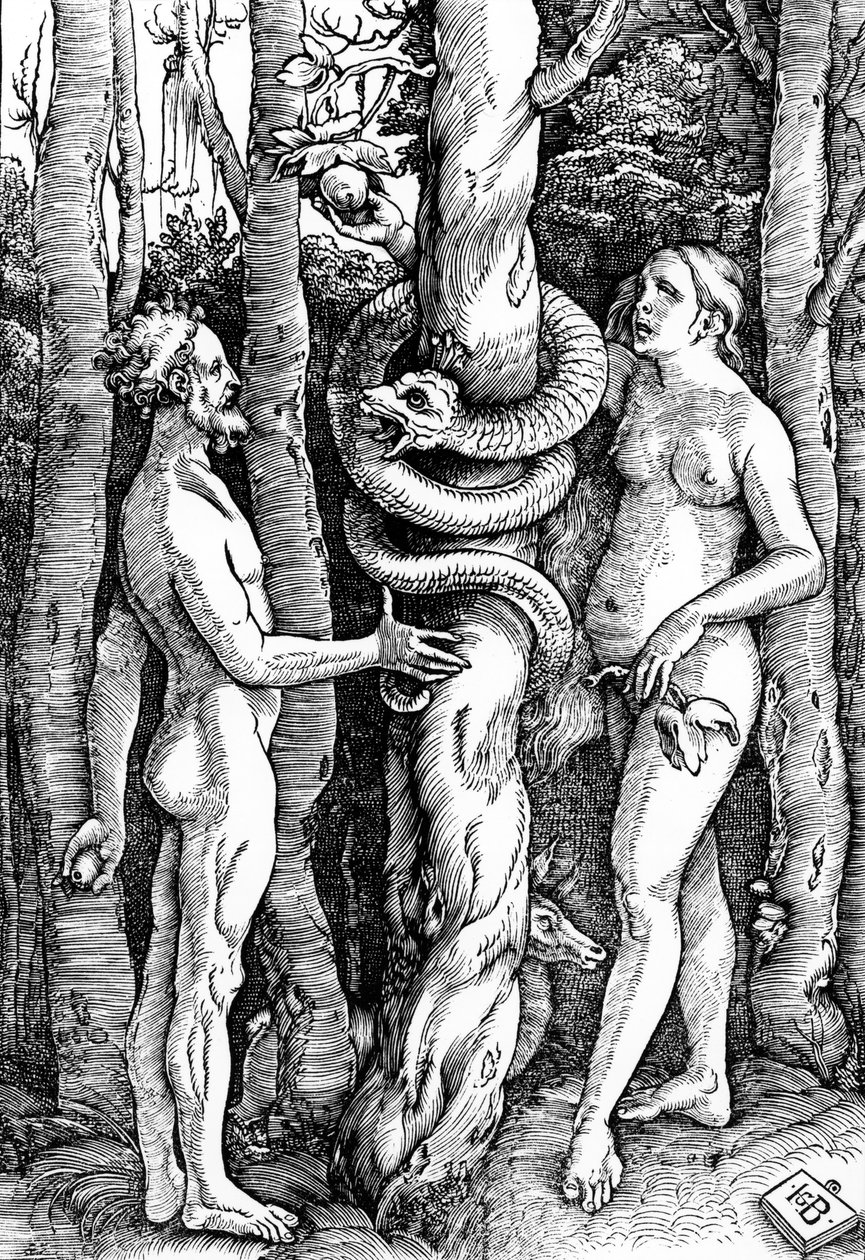 Pád člověka, kolem roku 1514 od Hans Baldung Grien
