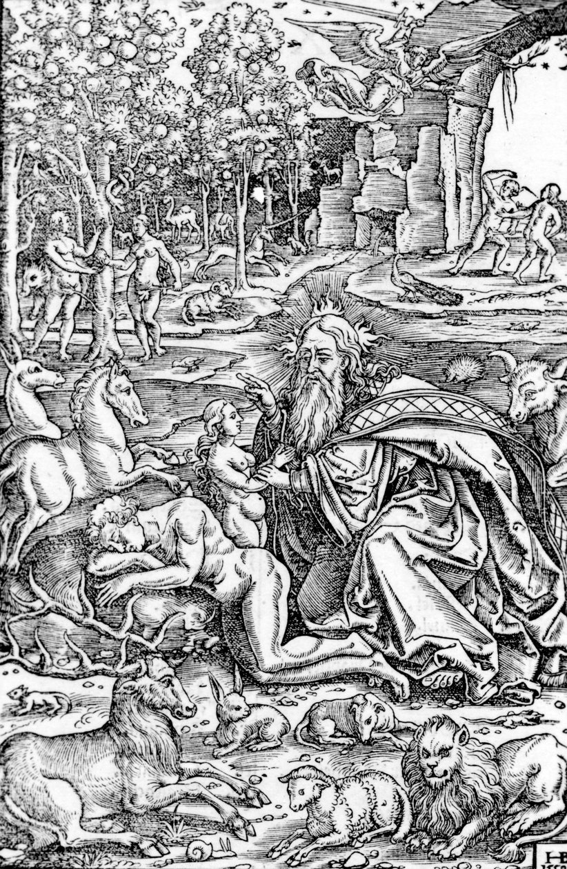 Stvoření Evy, z Lutherovy Bible, 1550 od Hans Brosamer