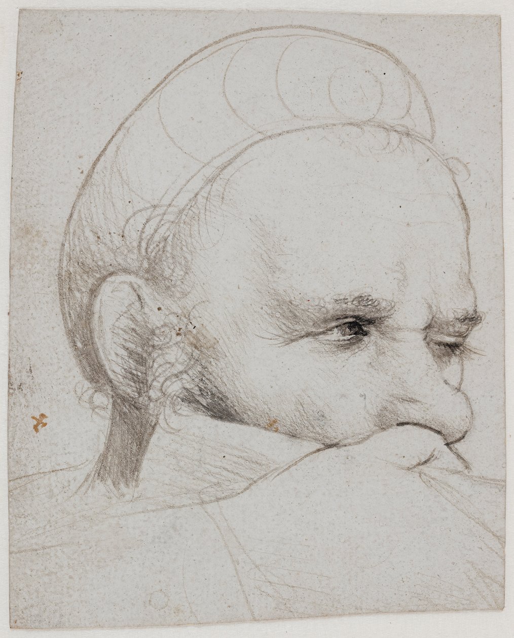 Hlava kuše od Hans Holbein the Elder