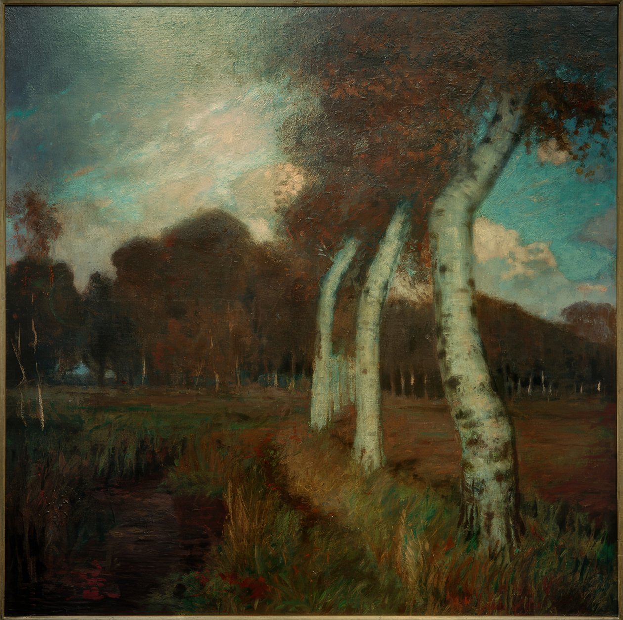 Břízy na podzim od Hans am Ende