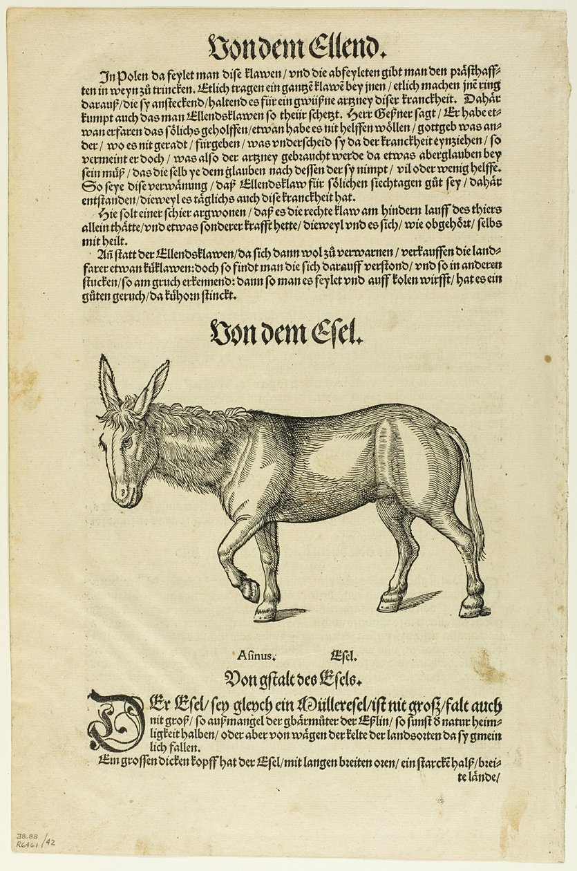 Ilustrace z "Thierbuch", deska 42 z Dřevorytů z knih XVI. století od Hans Asper