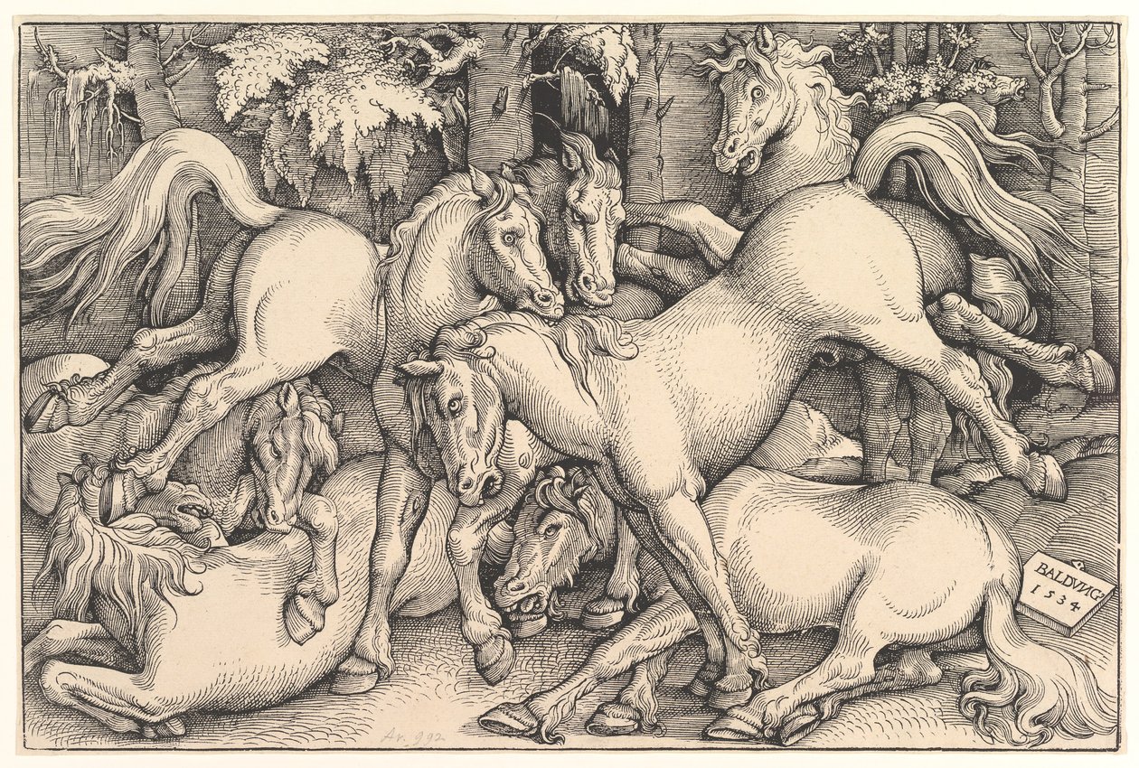 Skupina sedmi koní, 1534. od Hans Baldung