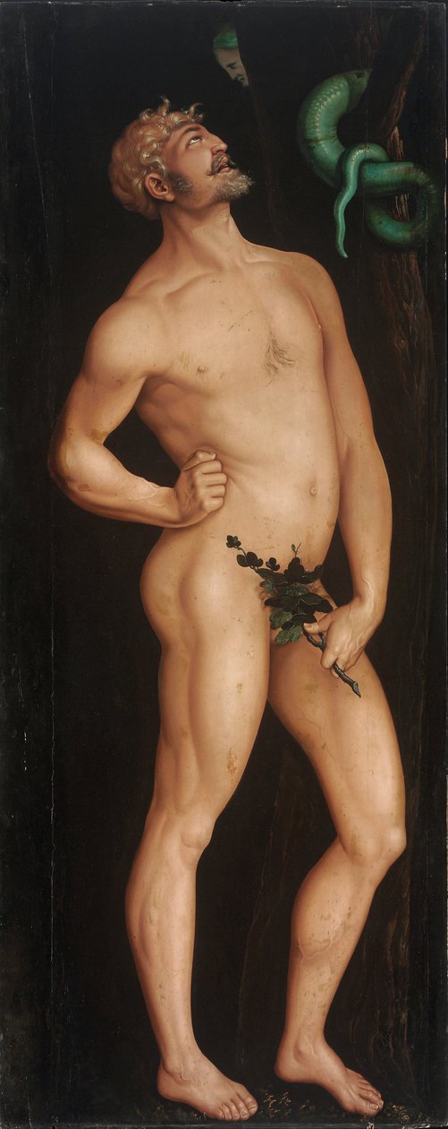 Adam od Hans Baldung Grien