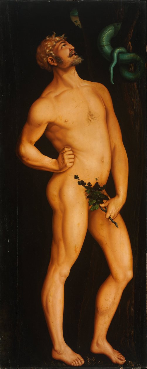 Adam - Peinture de Hans Baldung (1484-1545) - 1525-1526 - Olej na dřevě - 208,5x83,5 - Szepmuveszeti Muzeum, Budapešť od Hans Baldung Grien