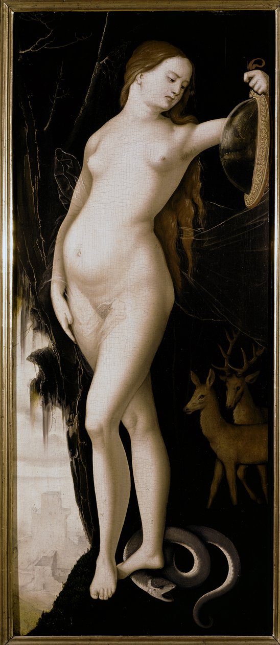 Alegorická postava (Alegorie obezřetnosti) od Hans Baldung Grien