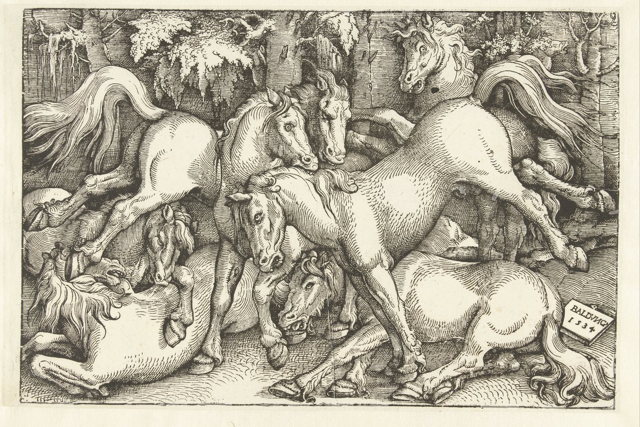Skupina sedmi bojových koní od Hans Baldung Grien