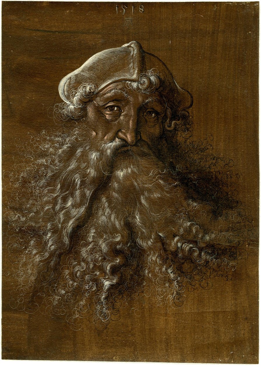 Hlava starého muže s hustým plnovousem od Hans Baldung Grien