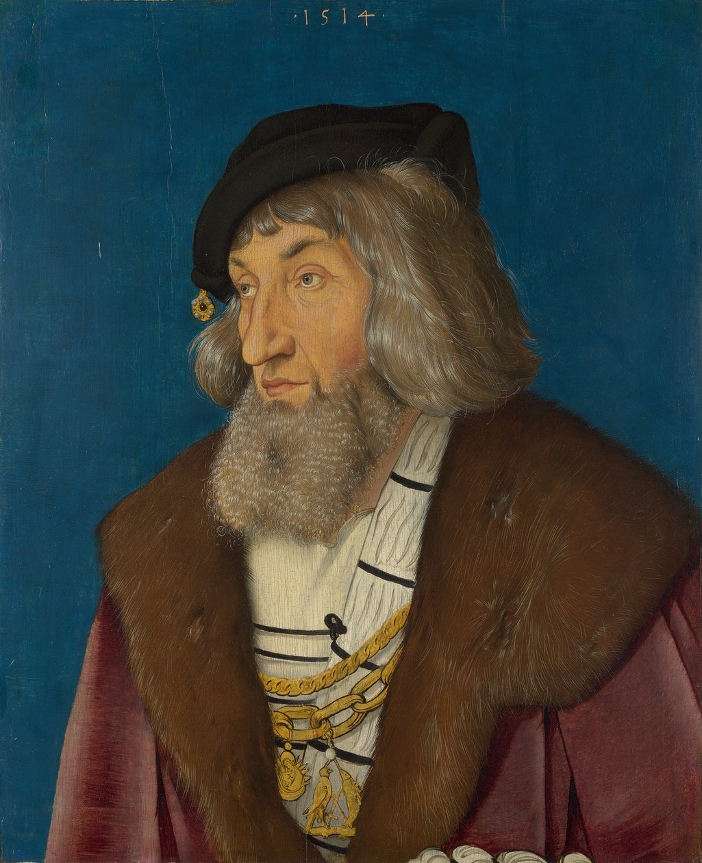 Portrét muže od Hans Baldung Grien