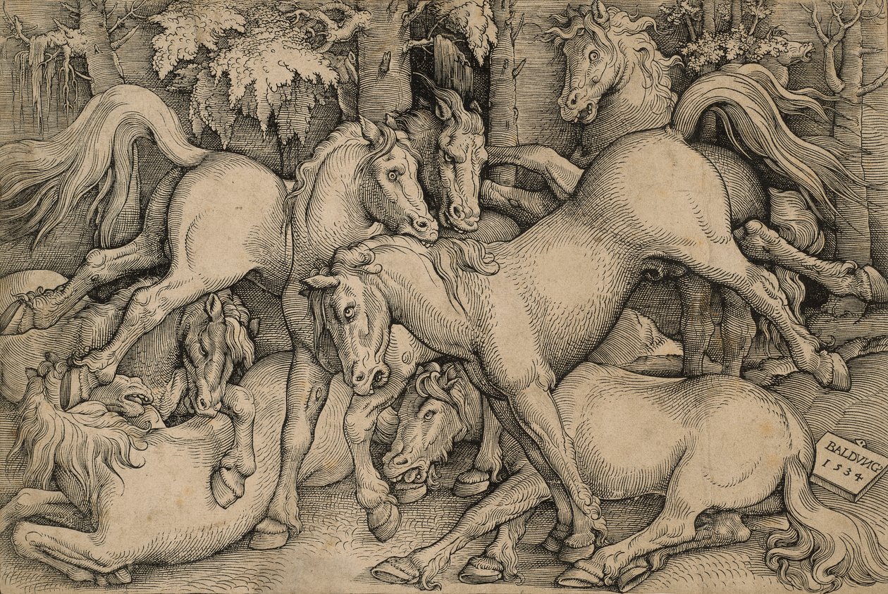 Boj divokých koní od Hans Baldung Grien