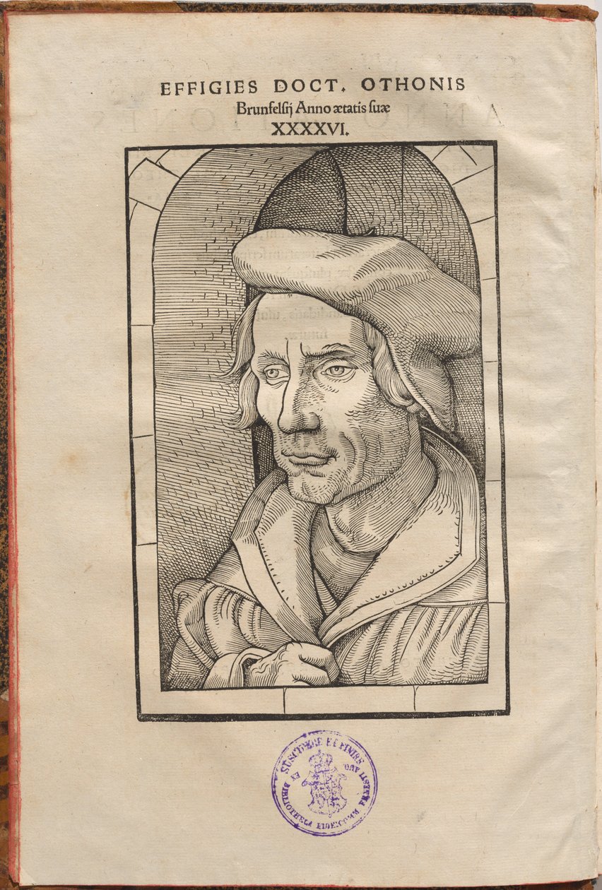 Anotace Othona Brunfelsia...ve čtyřech evangeliích a Skutcích apoštolů... od Hans Baldung Grien, Otto Brunfels