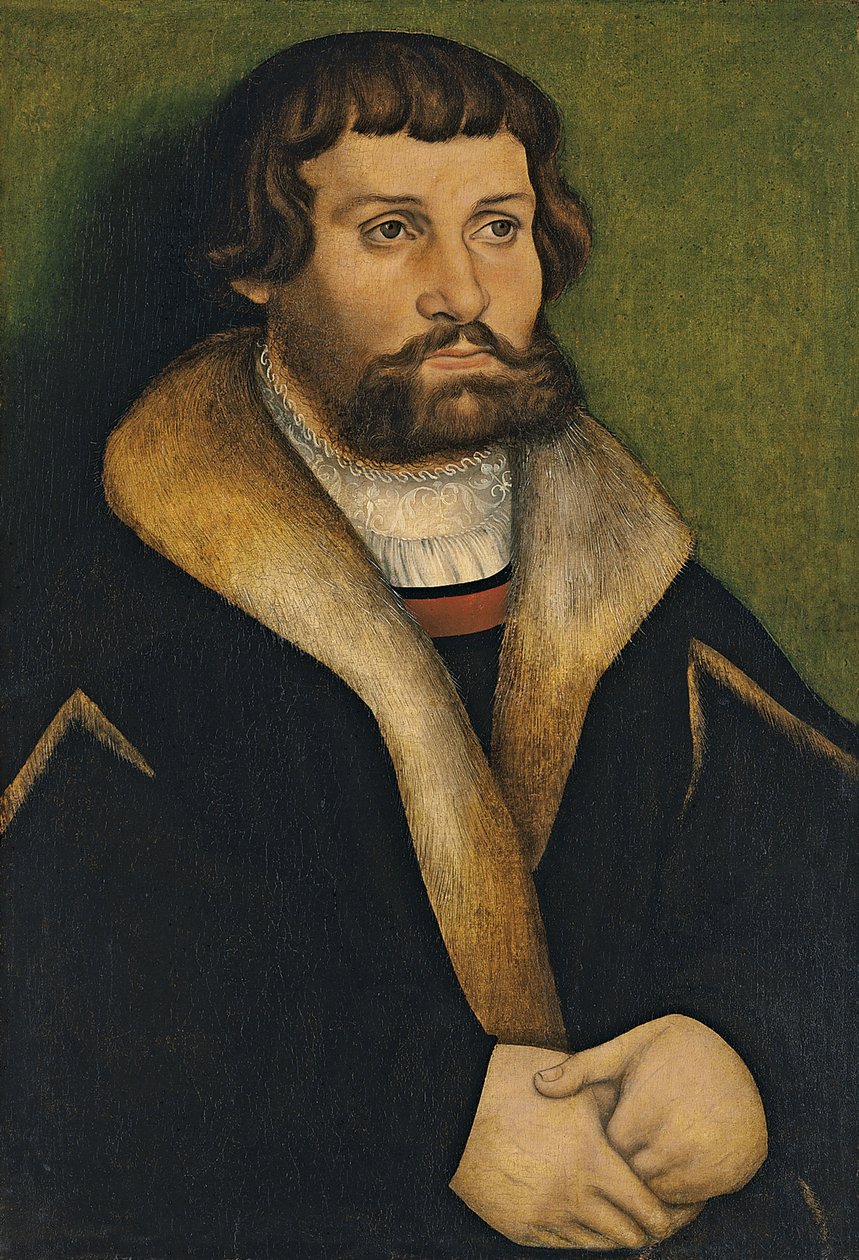 Portrét vousatého muže od Hans Cranach