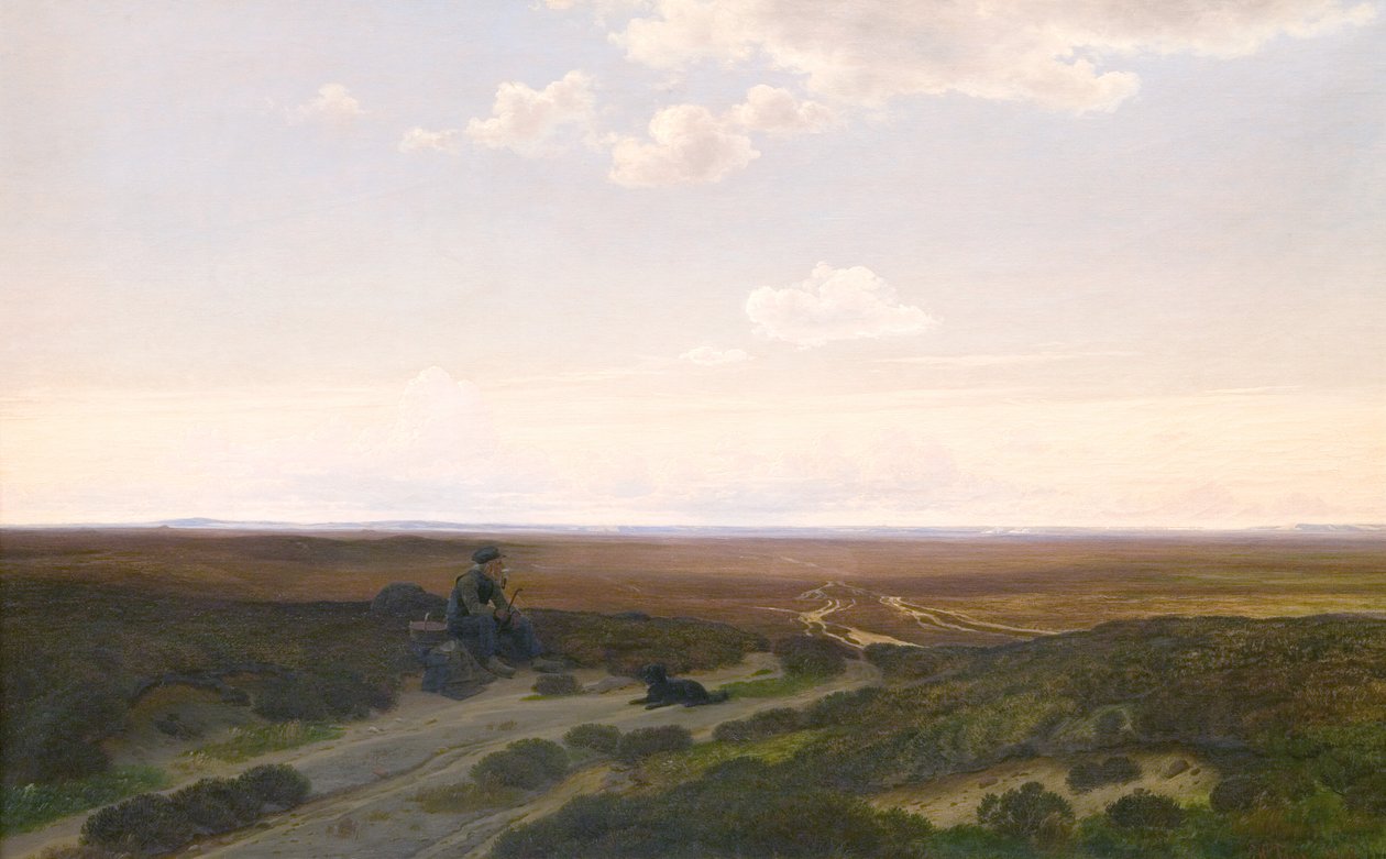 Pohled na Pårup Moors poblíž Silkeborg, Jutsko od Hans Friis