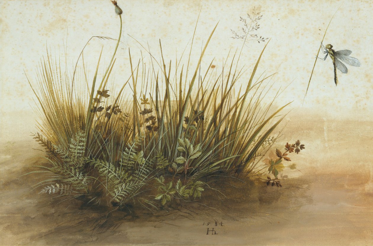 Malý kousek trávníku, 1584. od Hans Hoffmann