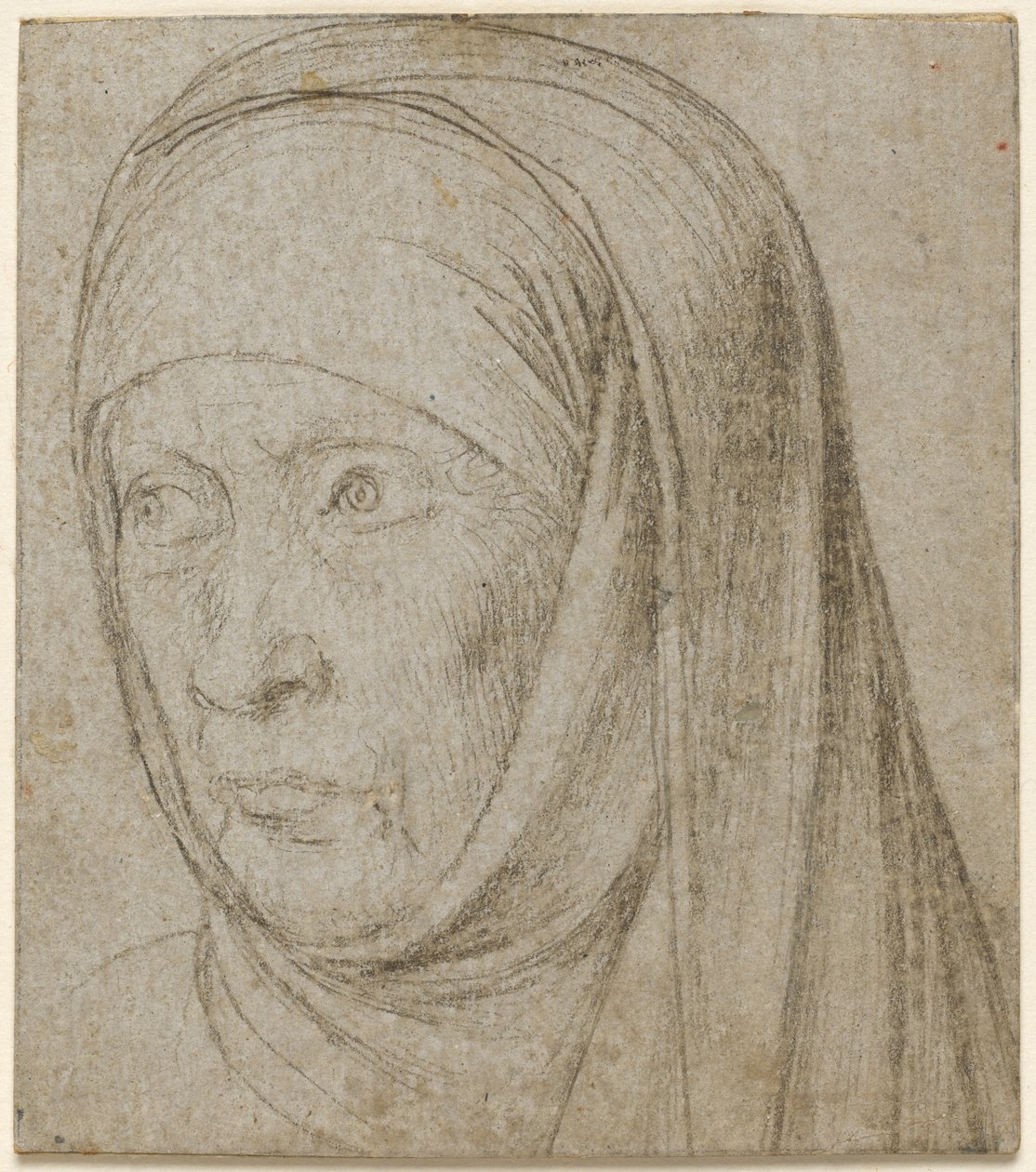 Hlava staré ženy, c. 1500. od Hans Holbein