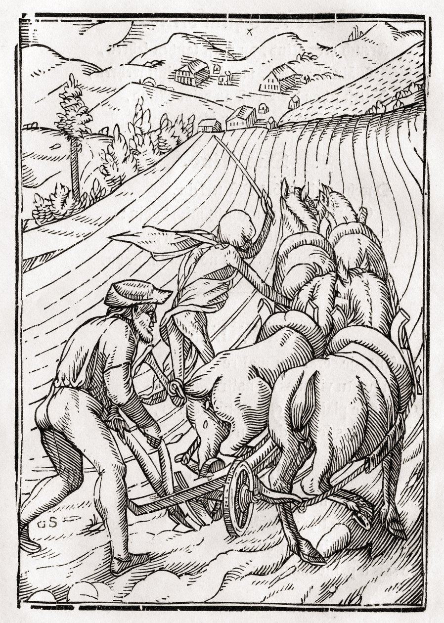Smrt přichází pro farmáře nebo manžela, vyryl Georg Scharffenberg, z „Der Todten Tanz“, vydaného v Basileji, 1843 od Hans Holbein der Jüngere