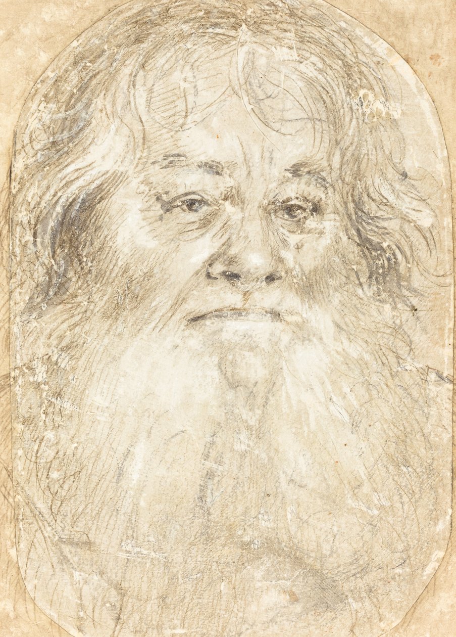 Studie vousatého muže [verso] od Hans Holbein the Elder