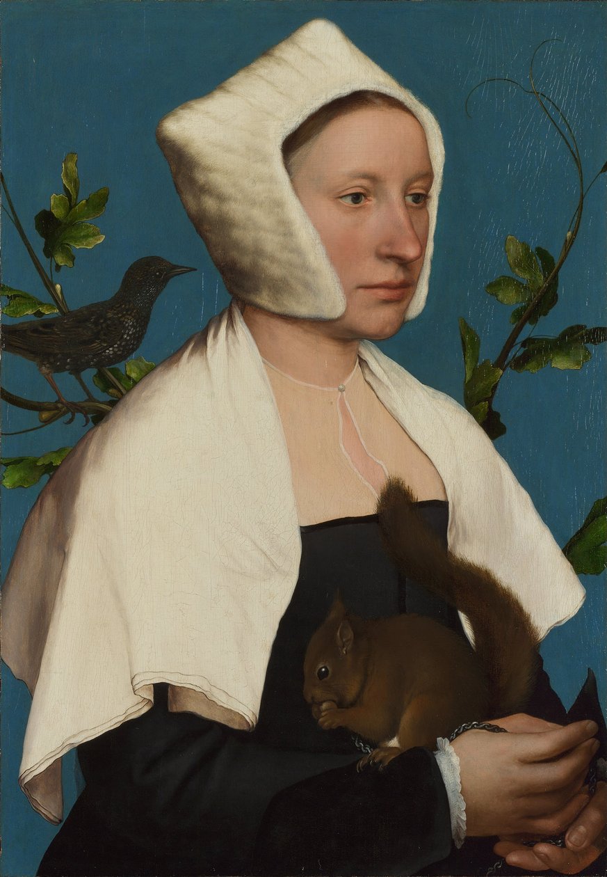 Dáma s veverkou a špačkem Anne Lovell, c. 1527 od Hans Holbein der Jüngere