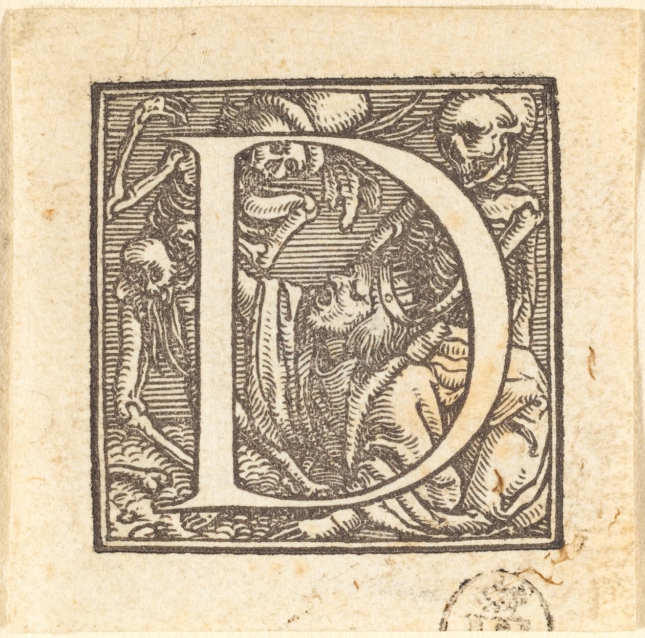 Písmeno D od Hans Holbein der Jüngere