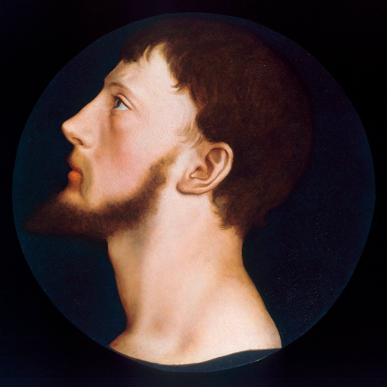 ""Portrét Thomase Wyatta mladšího (1521-1554) vůdce takzvané Wyatt Revolt