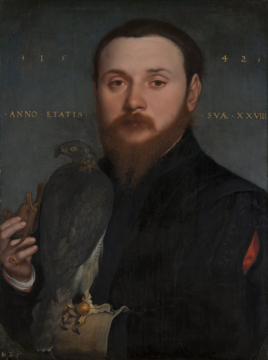 Portrét šlechtice s jestřábem, 1542 od Hans Holbein der Jüngere