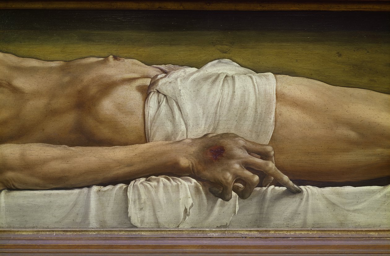Tělo mrtvého Krista, detail ruky, 1521 tempera na lipovém dřevě od Hans Holbein der Jüngere