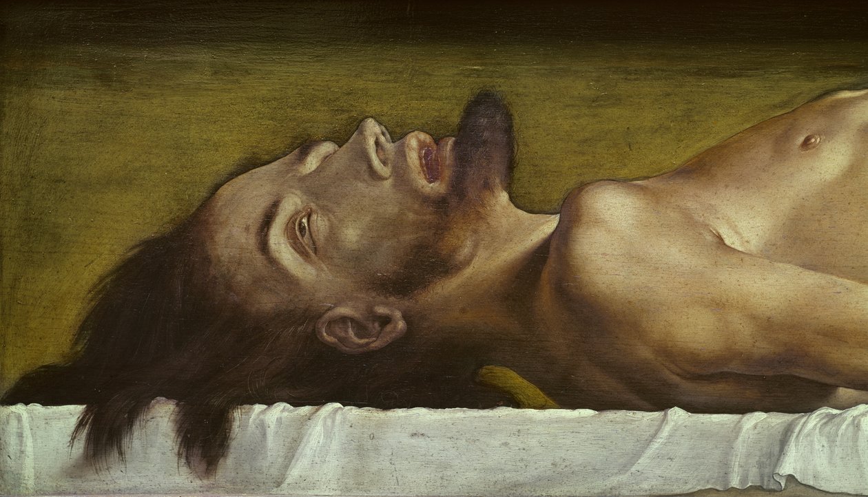Tělo mrtvého Krista, detail hlavy, 1521 tempera na lipovém dřevě od Hans Holbein der Jüngere
