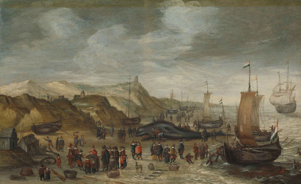 Vorvaň vyplavený na pláži v Noordwijku, 28. prosince 1614 od Hans I Savery