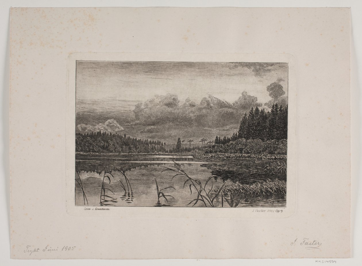 Jezero ve smrkovém lese od Hans Julius Fæster