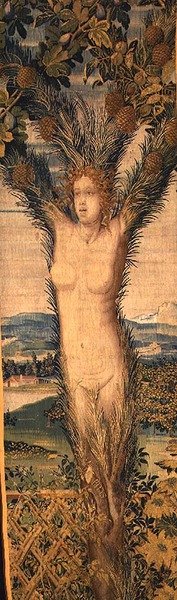 Jedna z dvojice tapisérií zobrazujících Daphne a Pitys, polovina 16. století (tapisérie) od Hans Karcher