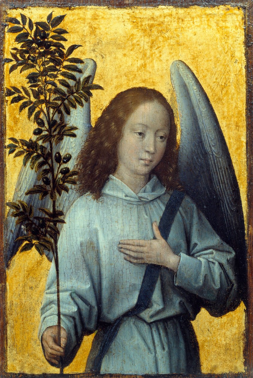 Anděl drží olivovou ratolest Malba Hanse Memlinga (1435-1494) (ec.flam.) 15. století Sun. 1,64x1,1 m Paříž, Musee du Louvre od Hans Memling