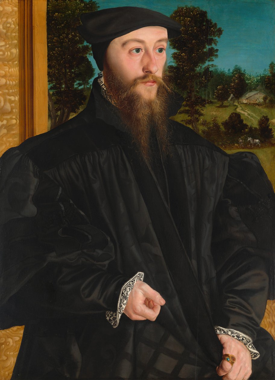 Člen rodiny Fröschl, c. 15391540. od Hans Mielich