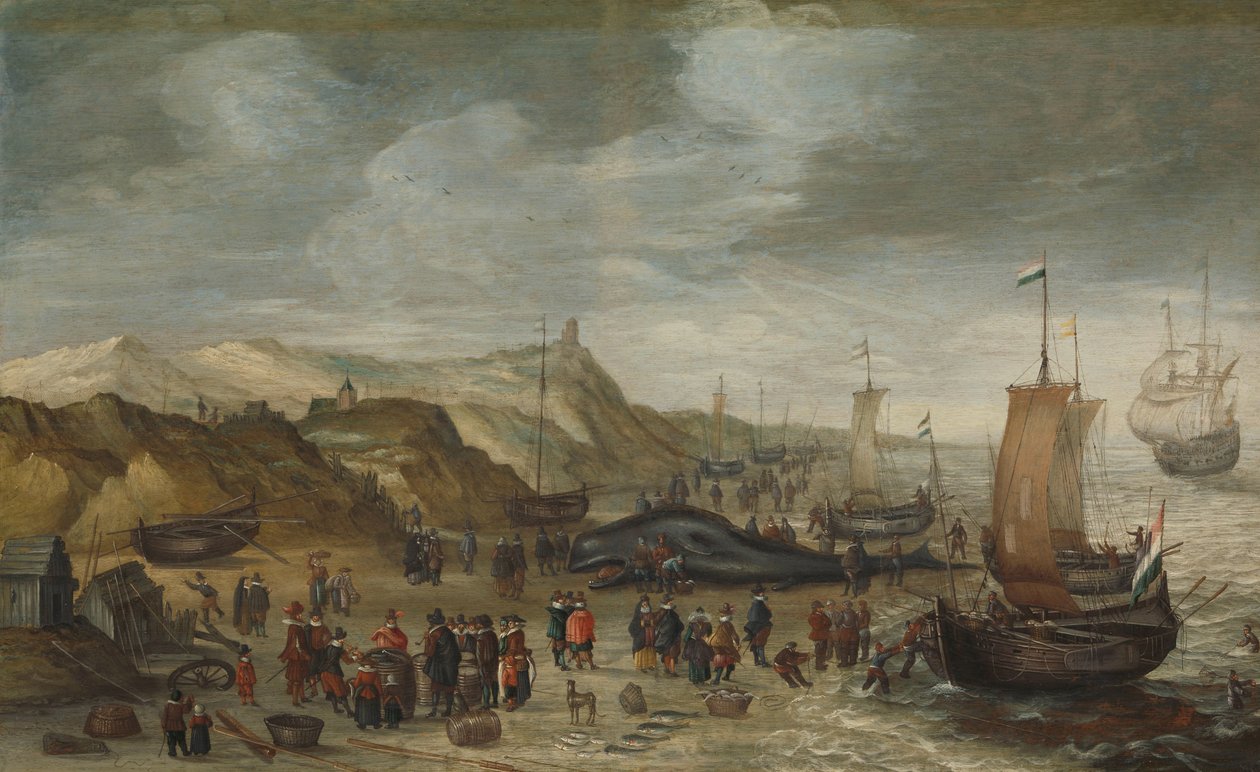 Velryba spermie vyplavená na pláži v Noordwijku, 28. prosince 1614 od Hans Savery (I) (attributed to)
