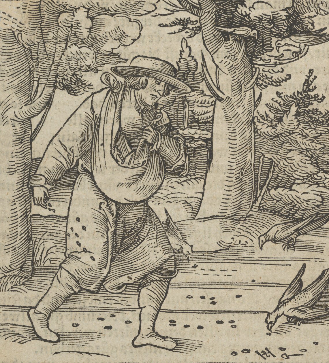 Ptáci jedí semena rozsévače, z Hymmelwagen auff dem, wer wol Leben..., 1517. od Hans Schäufelein the Elder