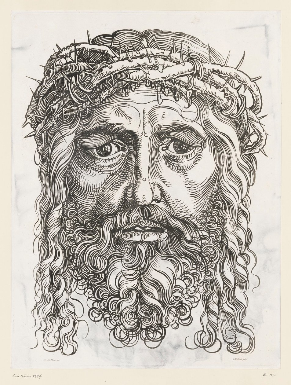 Velká hlava Krista s trnovou korunou od Hans Sebald (after) Beham