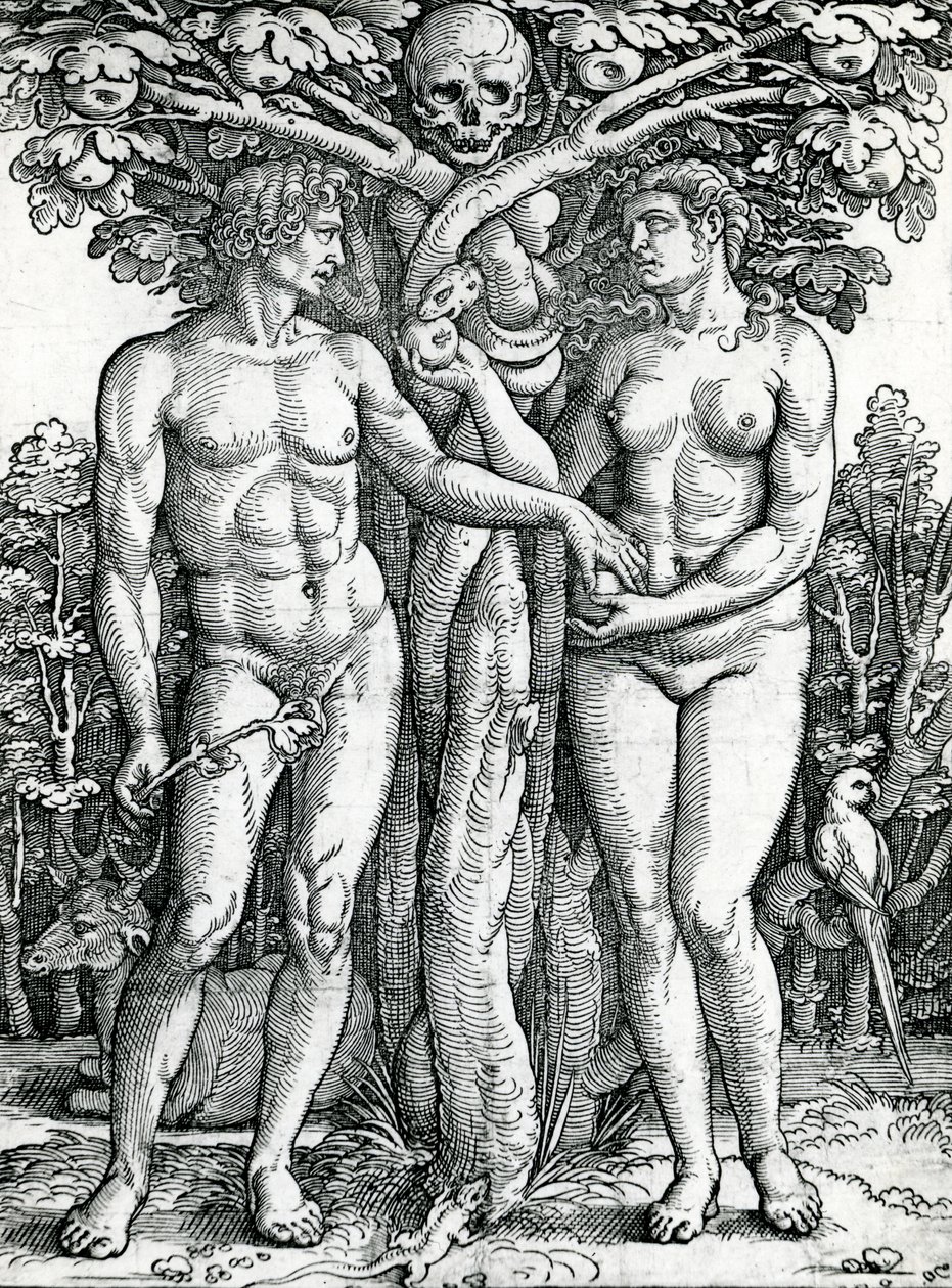 Pád Adama a Evy, kolem 1525-27 (dřevořez) od Hans Sebald Beham