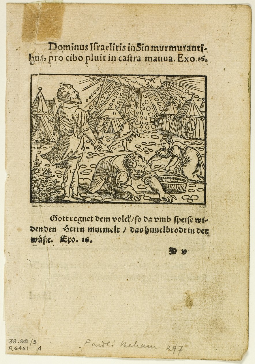 Déšť manny z Biblische Historien Künstlich fürgemalt, pátá deska z Dřevorytů z knih XVI. století od Hans Sebald Beham