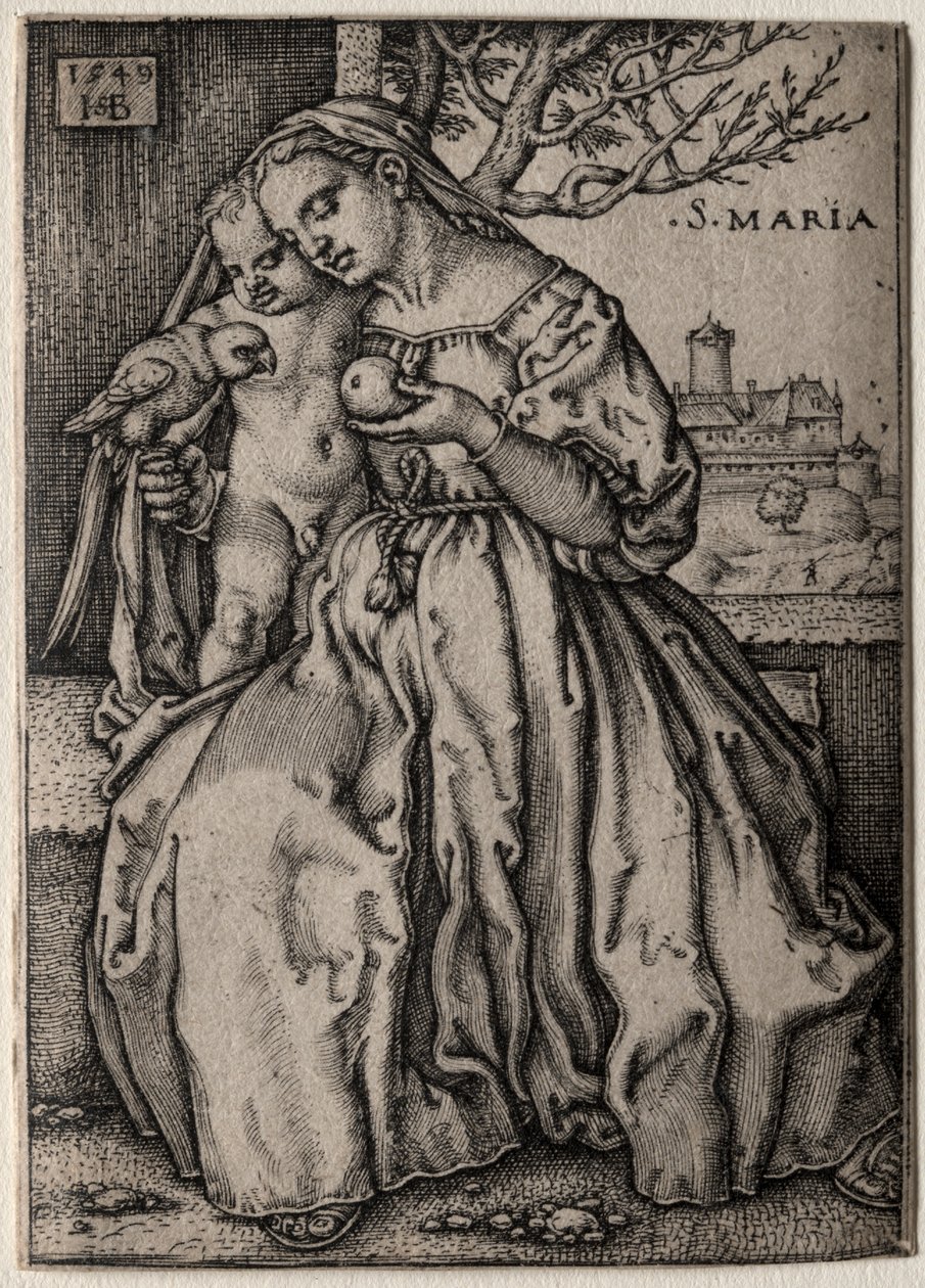 Panna s papouškem od Hans Sebald Beham