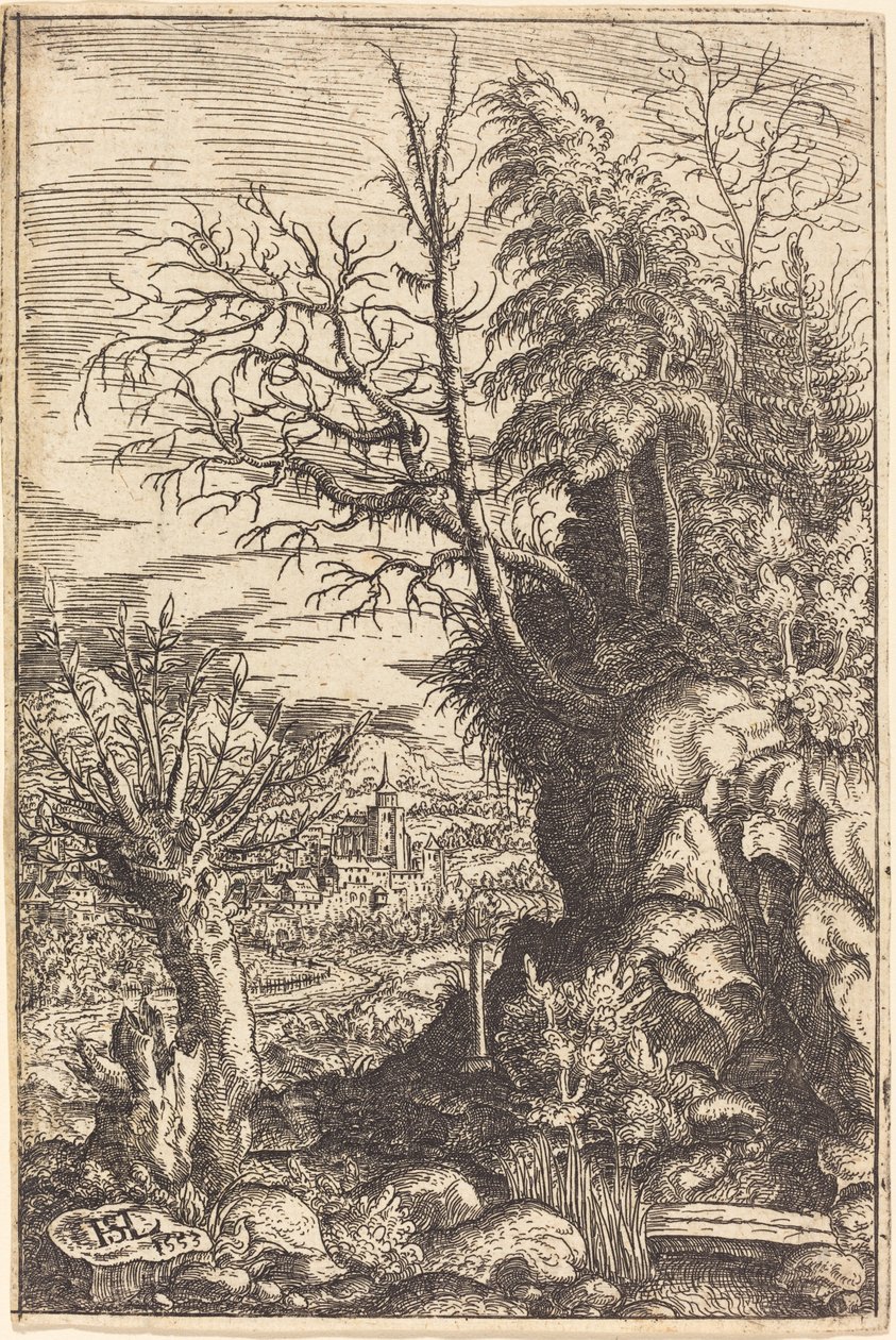 Krajina s vrbou, 1553. od Hans Sebald Lautensack