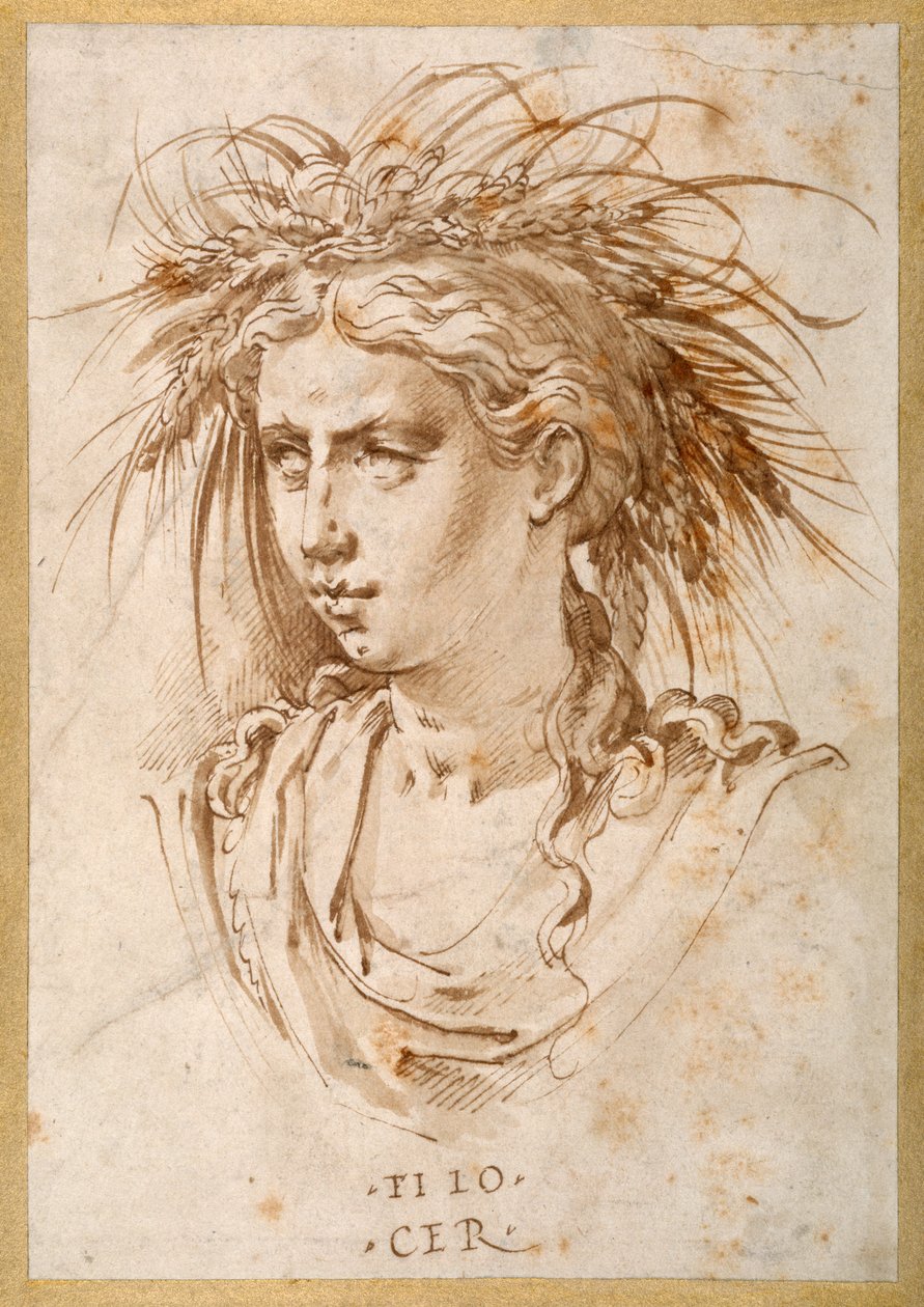 Head of Ceres (pero a hnědý inkoust na papíře) od Hans Speckaert