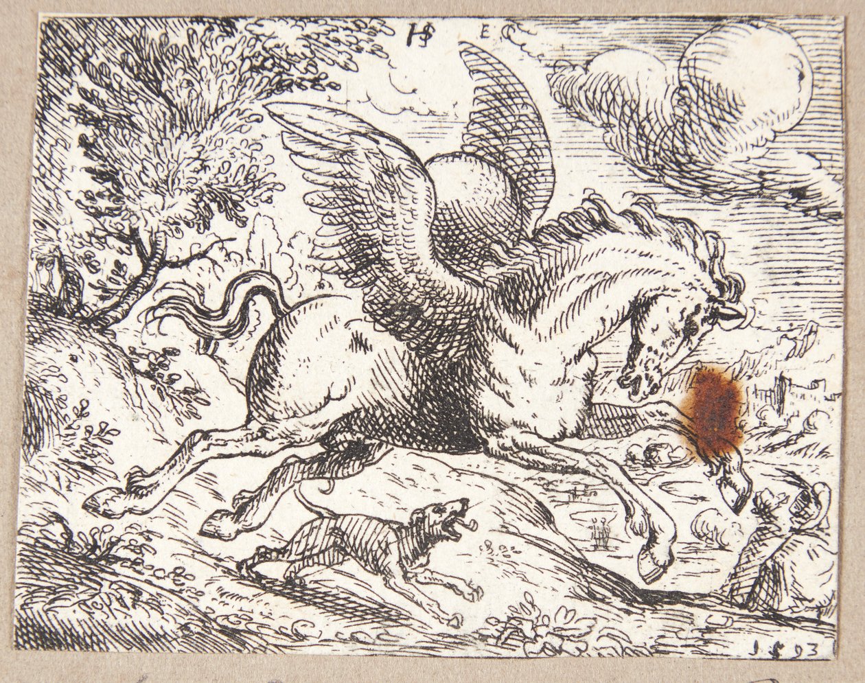 Pegasus od Hans Strohmayer