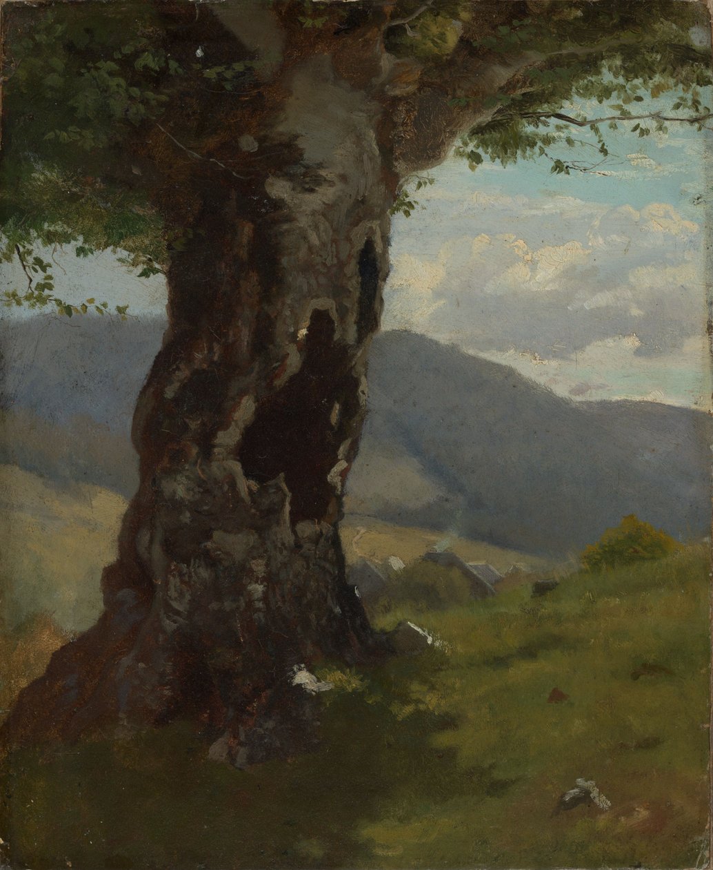 Starý kmen stromu s výhledem do údolí od Hans Thoma