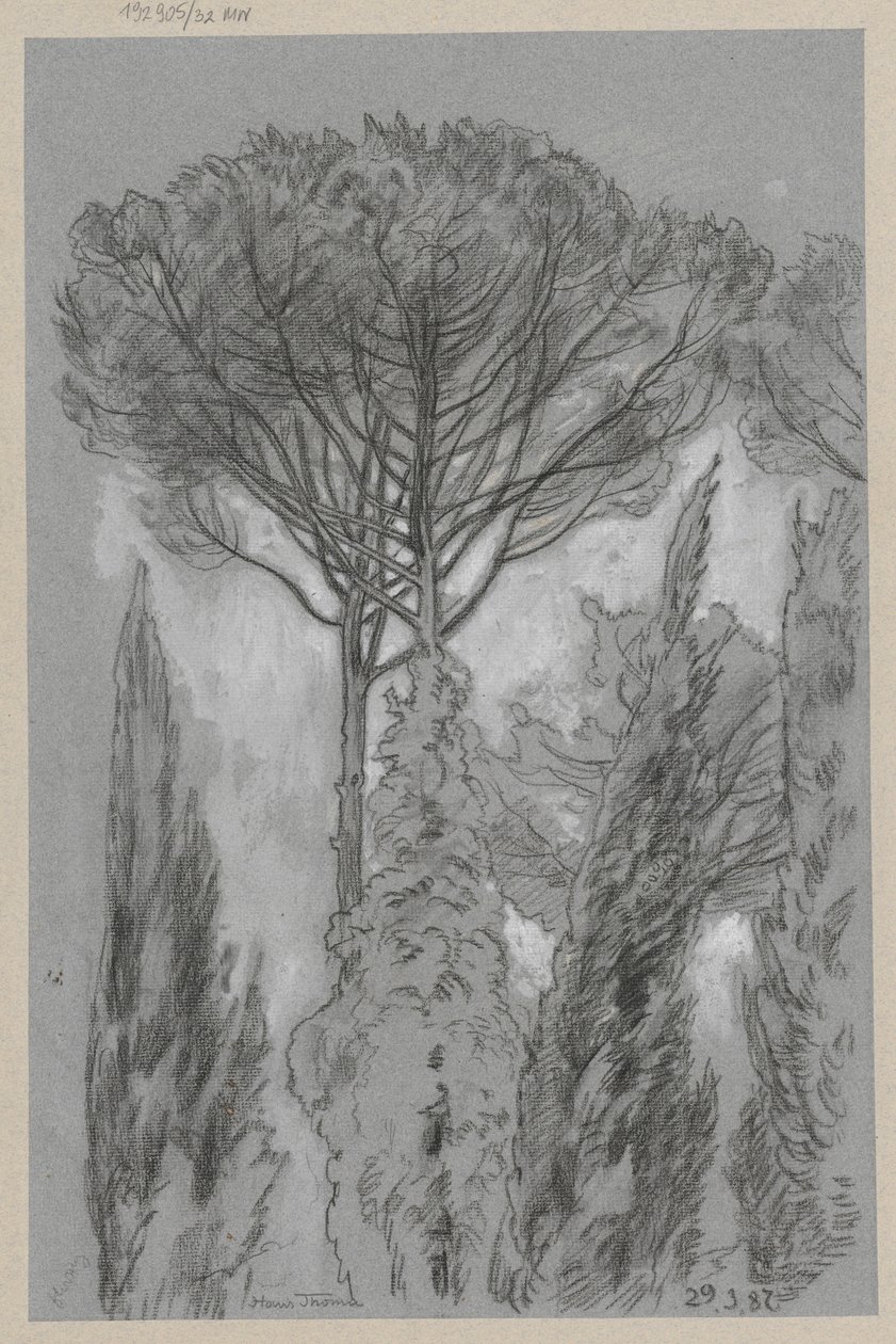 Stromy ve Florencii od Hans Thoma