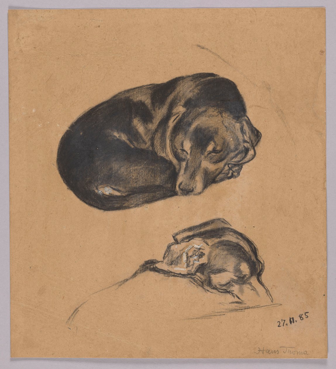 Zwei Studien eines schlafenden Dackels od Hans Thoma