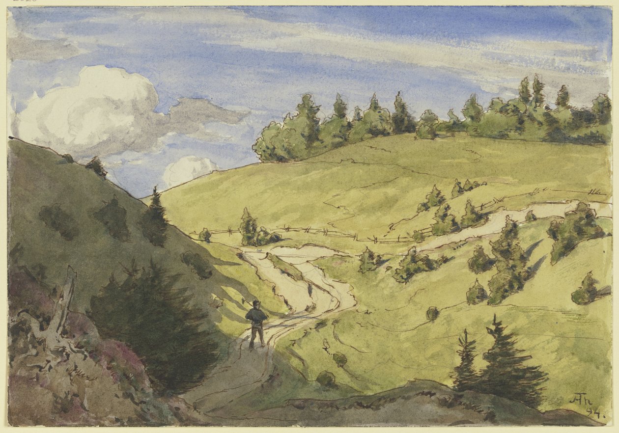 Krajina v Černém lese od Hans Thoma
