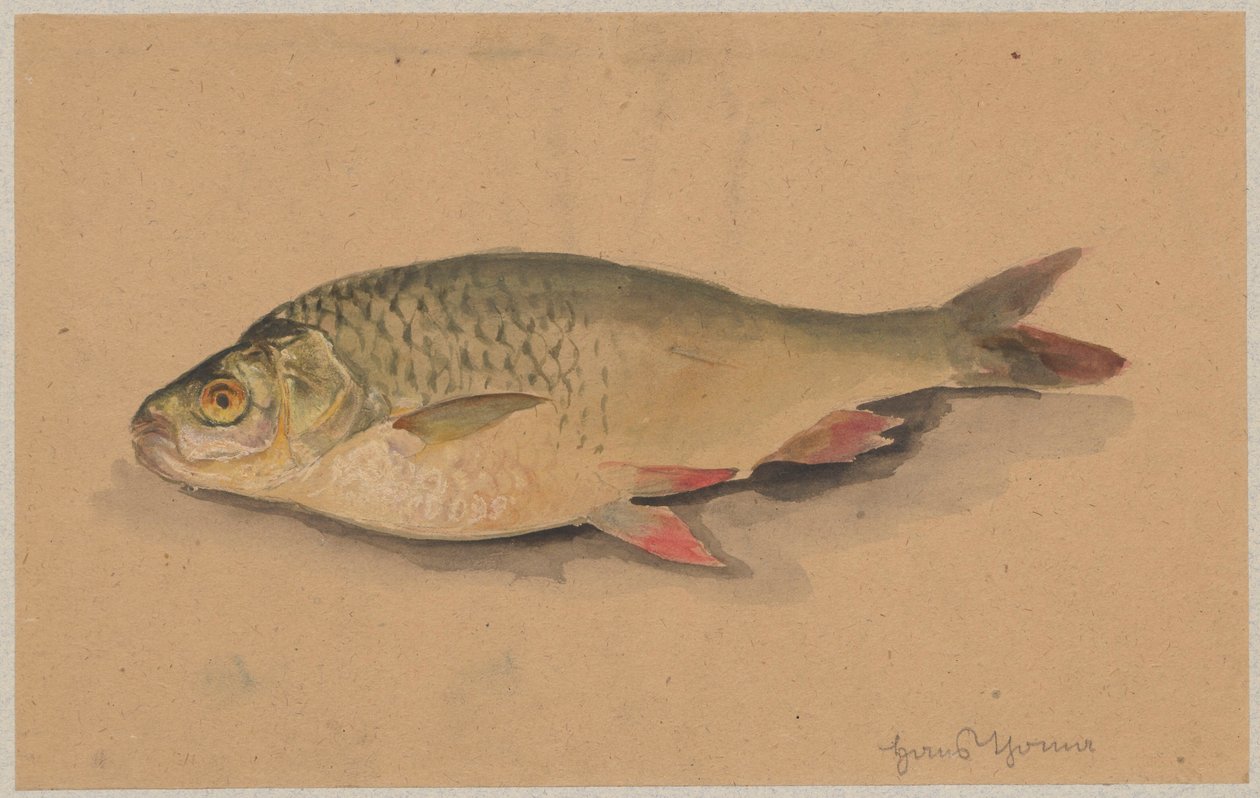 Ryba od Hans Thoma