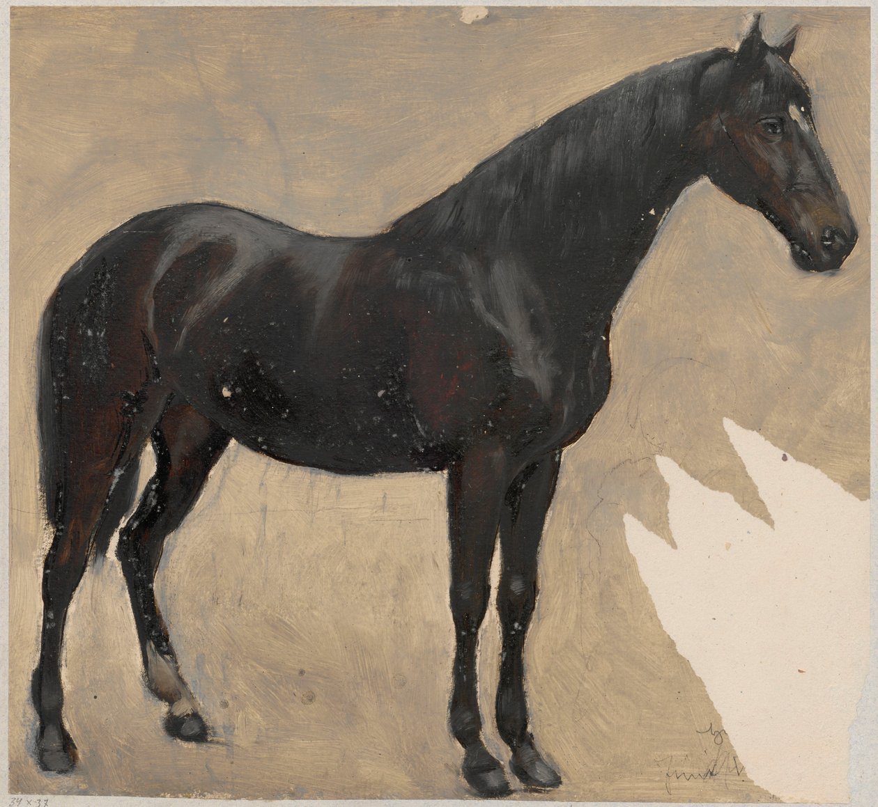 Studie koně od Hans Thoma