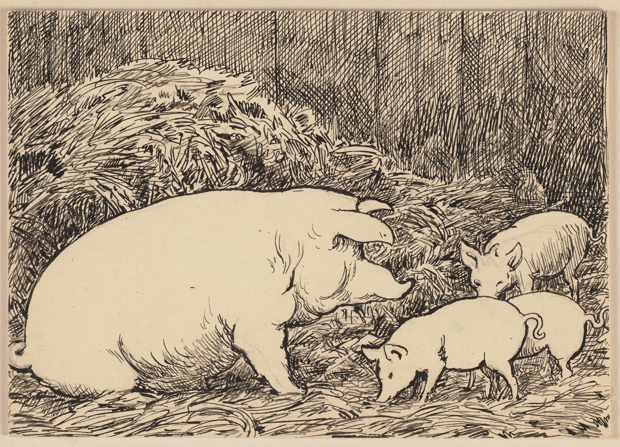 Ilustrace k abecední knížce: Prase od Hans Thoma